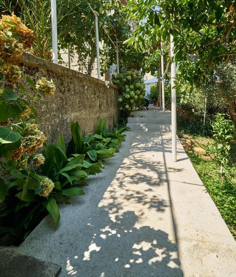 Aspidistra Shadow Apartment Dubrovnik Bagian luar foto