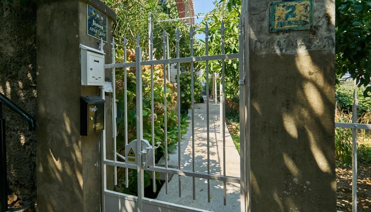 Aspidistra Shadow Apartment Dubrovnik Bagian luar foto